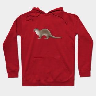 Eurasian Otter Hoodie